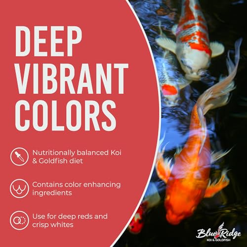 Blue Ridge Koi Fish Food 5lb - Koi Food Mini Growth Formula, Goldfish Food, Premium Fish Food for Ponds, Ponds Fish Food, Floating Pond Pellets