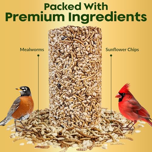 Mealworm Bird Seed Cylinders with Hole – Premium Mealworm Birdseed Log – Sunflower Chips & Dried Mealworms for Wild Birds – Natural High Energy Seed Cylinder – No Fillers – USA Made (4" x 7.75")
