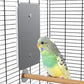 Fenocran Indoor Bird Heater Pad, USB Bird Warmer Heater, Bird Heater for Parakeets 4.5" X 7"