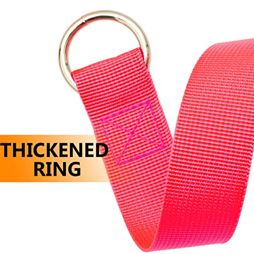 Slip Lead Dog Leash - 10 pcs Colorful 6 FT Short Dog Leashes with O-Ring for Small Large Dogs Puppy Cats Walking Training Running Rescues Grooming