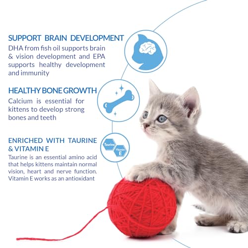 INABA Churu for Kittens, Creamy, Purée Lickable Cat Treats with DHA, EPA, Vitamin E & Taurine, 0.5 Ounces Each, 24 Tubes (4 per Pack), Chicken Recipe