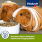 Sunseed Vita Prima Guinea Pig Food 4 lbs. with Timothy Hay, Alfalfa, Vegetables, Seeds Grains, and Added Vitamin C for Wholesome Daily Nutrition and Enriched Small Animal Diet