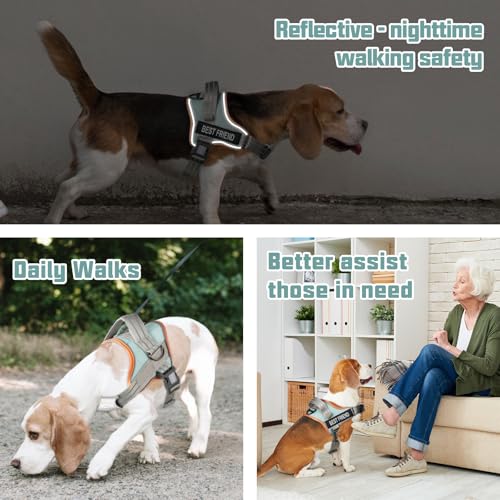 AUROTH Dog Harness and Leash Set, Soft Padded Service Dog Vest with 5.25FT Dog Leash, No Choke, Easy On Pet Vest, Adjustable Reflective No Pull Pet