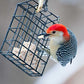 ST. ALBANS BAY SUET PLUS Suet Cake Variety Packs, 11 oz. Wild Bird Suet Cakes (High Energy, 10 Pack)