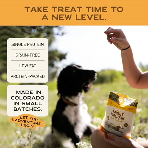 Smart Cookie All Natural Dog Treats - Rabbit & Pumpkin - Training Treats for Dogs & Puppies with Allergies, Sensitive Stomachs - Soft Dog Treats, Grain Free, Chewy, Human-Grade, Made in USA - 5oz Bag