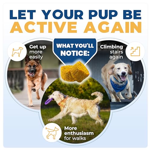 Jope Hip & Joint Supplement for Dogs Large, Medium, Small - Joint Chews w/UC-II® Collagen - Proven Better Than Glucosamine Chondroitin in Canine