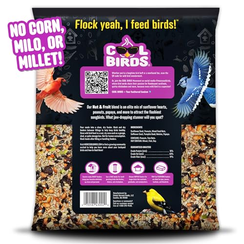 Nut & Fruit Wild Bird Seed – 10 lb. Gourmet Bird Food with Sunflower Hearts, Peanuts, Tree Nuts & Real Fruit – No Corn, Milo or Millet Bird Seed for Outside Feeders