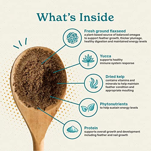 The Missing Link Avian Color & Shine Superfood Supplement Powder for Captive Birds - Flaxseed, Yucca, Kelp, Phytonutrients & Protein - Supports Energy, Plumage, Digestive & Immune Health - 3.5oz