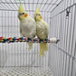 Bendable Fun Climbing Bird Cotton Rope Perch, Colorful Bungee Toy for Parrot, Bird Cage Accessories (31.5'' Metal Nut)