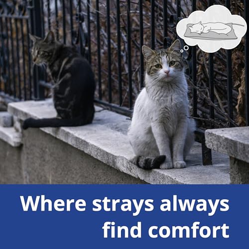 Outdoor Heated Cat Bed, Soft Pet Heating Pad with Steel-Wrapped Cord, Outside Pet Warmer for Feral Cats and Dogs, 19.7" x 15.7", 40 Watts
