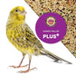 Canary Plus 5 Lbs, Premium Mixed Birdseed, Canary Bird Food with Essential Vitamins and Minerals, Healthy Balanced Nutrition, Supports Daily Energy & Growth, Bird Seed for Pet Birds