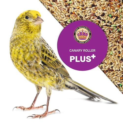 Canary Plus 5 Lbs, Premium Mixed Birdseed, Canary Bird Food with Essential Vitamins and Minerals, Healthy Balanced Nutrition, Supports Daily Energy & Growth, Bird Seed for Pet Birds