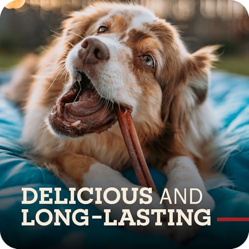 Redbarn Pet Products All Natural 5"-8" Braided Bully Sticks for Small & Large Dogs - Healthy Long Lasting Beef Chews Variety Party Pack - Single Ingredient Low Odor Rawhide Free - 8 oz Bag