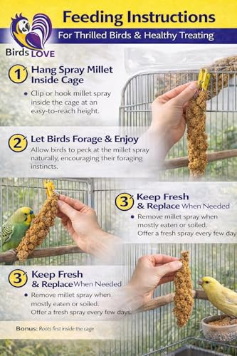 Birds LOVE Millet Tips & Tails for Birds - Parakeets, Cockatiels, Lovebirds, Finches, Budgies, Canaries, Cockatoos - Natural & Healthy Millet for Birds - Parakeet Food & Treats for All Parrots, 1lb