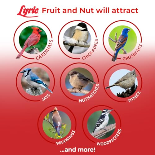 Lyric Fruit and Nut Wild Bird Seed - High Energy Wild Bird Food Mix - Attracts Woodpeckers, Chickadees & Other Songbirds - 10 lb. (pack of 2 - 5 lb bags)