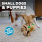 Outward Hound Squeakin’ Squirrels – 3‑Pack Plush Squeaky Dog Toys for Puppies, Small Dogs & Hide-A-Squirrel Replacements