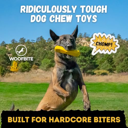 Indestructible Stick Dog Toy - Lifetime Replacement - Durable Chew Toy for Aggressive Chewers - Safe Non-Toxic Natural Rubber - Chew Tug & Fetch