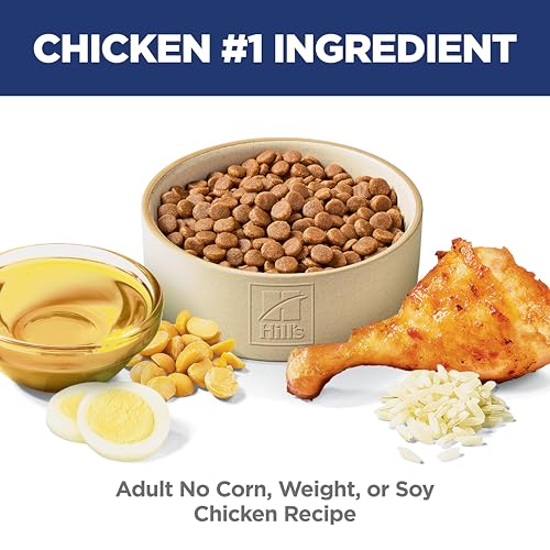 Hill's Science Diet Adult 1-6, Adult 1-6 Premium Nutrition, Dry Cat Food, No Corn, Wheat, Soy Chicken & Brown Rice Recipe, 7 lb Bag