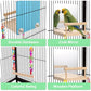 KyoukiBird Perch Platform Bird Toys with Bird Mirror Climbing Ladder Swing, Parakeet Cage Accessories - for Cockatiels, Lovebirds, Budgies,Pacific Parrotlets,Finch,Canaries - Wooden Play Gym