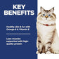 Hill's Science Diet Adult 1-6, Adult 1-6 Premium Nutrition, Dry Cat Food, No Corn, Wheat, Soy Chicken & Brown Rice Recipe, 7 lb Bag