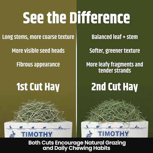 High Desert 2nd Cutting Timothy Hay for Rabbits, Guinea Pigs, Chinchillas and Small Pets, Soft Leafy for Daily Feeding and Digestive Health, Natural Rabbit Food and Guinea Pig Hay for Hay, 4 Lb Box