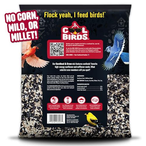 Cardinal & Crew Wild Bird Seed – 10 lb. Black Oil Sunflower, Sunflower Hearts & Safflower Blend for Cardinals, Grosbeaks & Chickadees – Bird Food for Outside Feeders