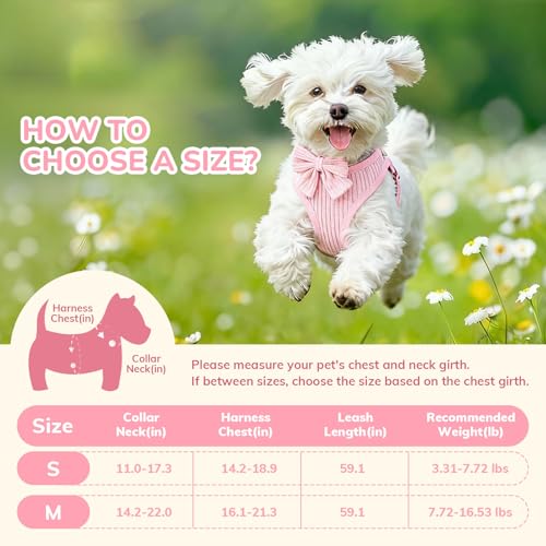 Small Dog Collar Harness and Leash Set, Dog Harness no Pull with Bowtie, Breathable Cotton Adjustable Pet Puppy Harness, Easy Walk Dog Harness