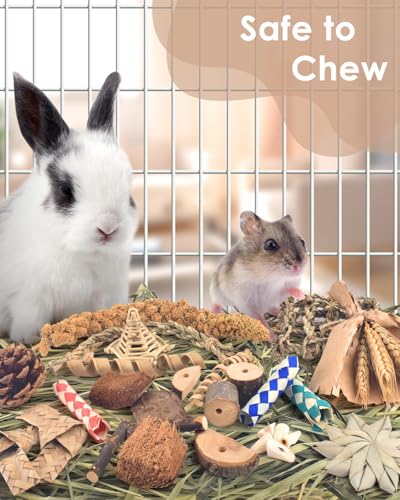 Bissap Rabbit Chew Toy, Natural Bunny Treats Snacks with Timothy Hay Water Grass Mat Coconut Husk Box for Guinea Pigs Chinchillas Hamsters Gerbils and Other Small Pets Teeth Grinding