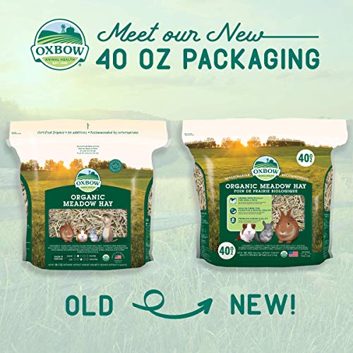 Oxbow Organic Meadow Hay, Guinea Pig & Rabbit Hay, Small Pet Bunny Supplies, All Natural Grass for Guinea Pig, Bunny, Chinchilla & Hamster, Rabbit Supplies for Bunnies, 40 oz Bag