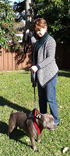 Primal Pet Gear Dog Leash 6ft Long,Traffic Padded Two Handle,Heavy Duty,Reflective Double Handles Lead for Control Safety Training,Leashes for Large