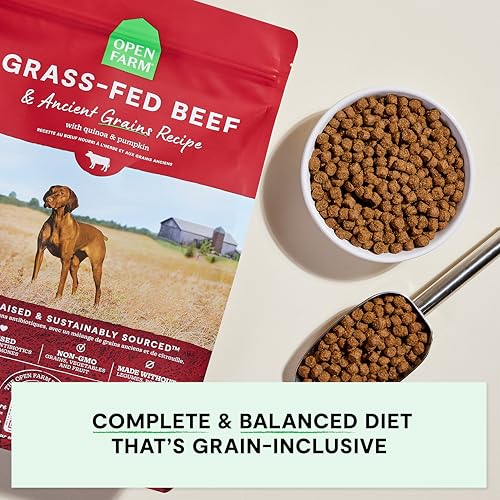 Open Farm, Ancient Grains Dry Dog Food, Protein-Rich & Nutrient Dense, 90% Animal Protein Mixed with Non-GMO Fruits, Veggies and Superfoods