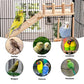 Bird Perches Platform Swing with Climbing Ladder, Parakeet Cage Accessories Wooden Playing Gyms Exercise Sturdy for Small Birds