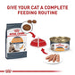 Royal Canin Feline Care Nutrition Hair & Skin Care Adult Dry Cat Food, 3 lb Bag