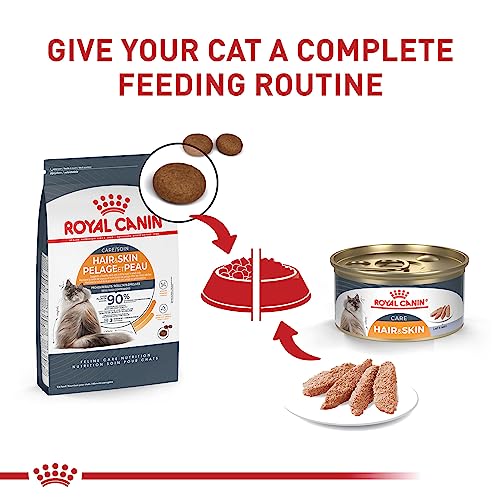 Royal Canin Feline Care Nutrition Hair & Skin Care Adult Dry Cat Food, 3 lb Bag