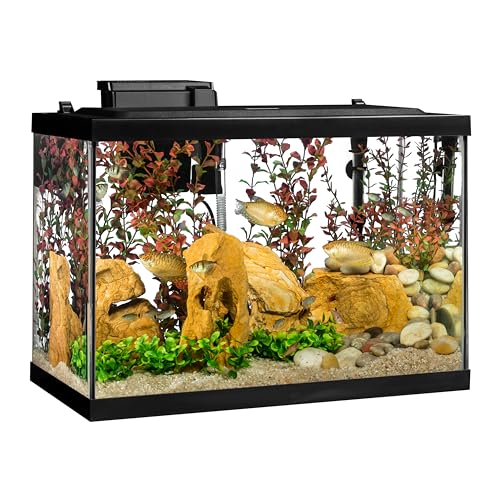 Tetra Aquarium, 20 Gallon, Complete Tropical Fish Tank Kit With LED Lighting And Decor For Freshwater Fish