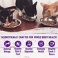 Wellness Healthy Indulgence Morsels Adult Wet Cat Food, Natural, Protein-Rich, Grain-Free, 3 Ounce Pouch, 8 Pack, (Morsels Variety Pack)