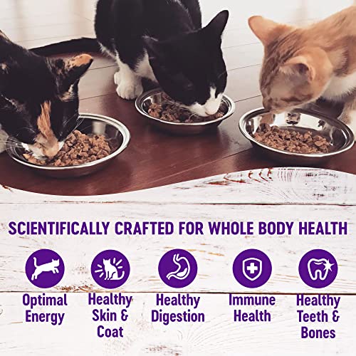 Wellness Healthy Indulgence Morsels Adult Wet Cat Food, Natural, Protein-Rich, Grain-Free, 3 Ounce Pouch, 8 Pack, (Morsels Variety Pack)