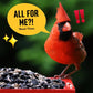 Cardinal & Crew Wild Bird Seed – 10 lb. Black Oil Sunflower, Sunflower Hearts & Safflower Blend for Cardinals, Grosbeaks & Chickadees – Bird Food for Outside Feeders