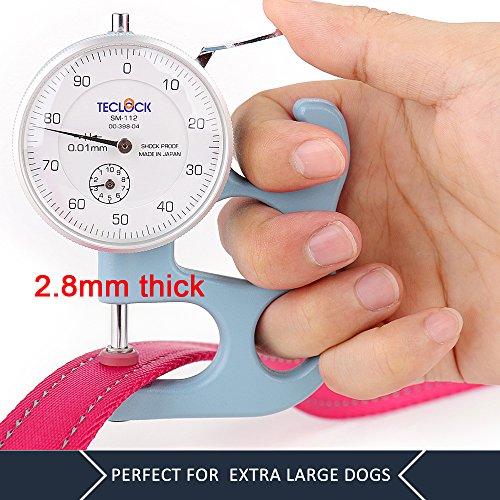 Plutus Pet Double Handle Dog Leash 6ft Long, Padded 2 Handle, Heavy Duty, Reflective Training Leash for Medium Large Dogs, Dual Handle Lead (Pink)