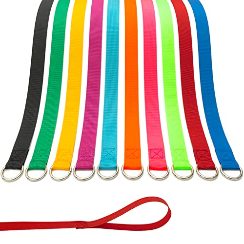 Slip Lead Dog Leash - 10 pcs Colorful 6 FT Short Dog Leashes with O-Ring for Small Large Dogs Puppy Cats Walking Training Running Rescues Grooming