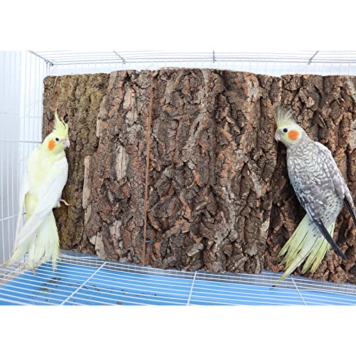 2 Pack 12 x 8 Inch 100% Natural Cork Perch, Bird Cork Seat Boards, Birdcage Bark Decor Accessories for Birds Parakeets Budgie Parrot Cockatiel Hamster Guinea Pig Rat