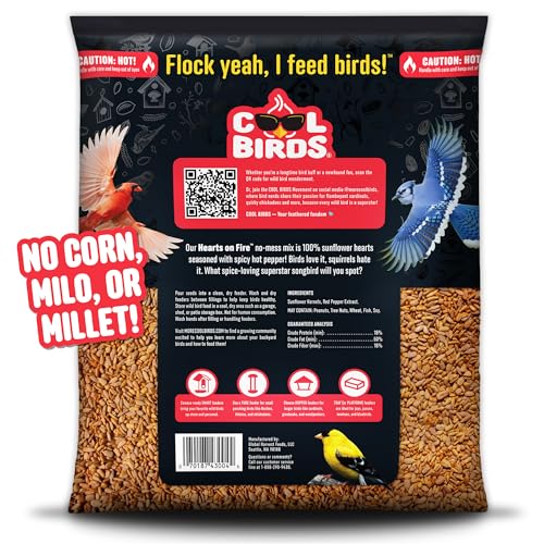 Hearts on Fire Hot Bird Seed – 10 lb. 100% Hulled Sunflower Hearts with Chili Pepper Oil – No Waste Bird Seed for Outside Feeders