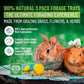 Small Pet Select Forage Tray Bundle, 3 Pack of Foraging Trays for Rabbit, Guinea Pig, Hamster or Bunny - Natural Treats, Dandelion, Flower, Herb Mix 2.5oz Each