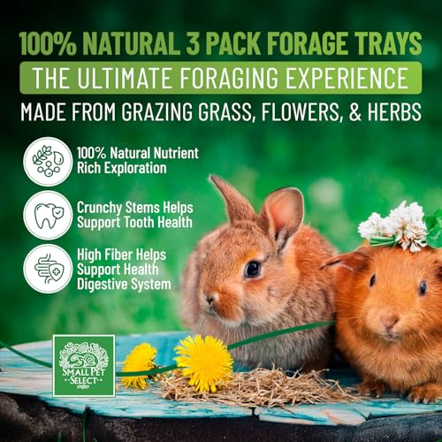Small Pet Select Forage Tray Bundle, 3 Pack of Foraging Trays for Rabbit, Guinea Pig, Hamster or Bunny - Natural Treats, Dandelion, Flower, Herb Mix 2.5oz Each