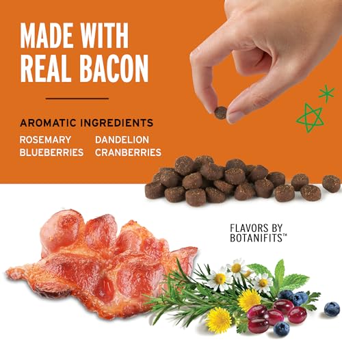 Pet Botanics 10 oz. Pouch Training Rewards Mini Soft & Chewy, Bacon Flavor, with 500 Treats Per Bag, The Choice of Top Trainers