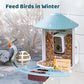 NETVUE by Birdfy Pro Perch - Wider Extension Perch to DIY Add-ons Including Suet Ball, Mini Hummingbird Feeder, Fruit Holder, Jelly Feeder and Welcome Card, Ideal for Bird Lover (Blue)