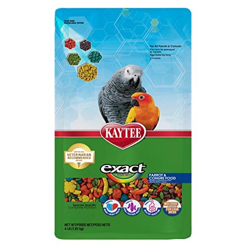 Kaytee Exact Rainbow Pet Parrot & Conure Food, 4 Pound