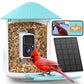 NETVUE by Birdfy Smart Bird Feeder with 2K HD AI Camera Solar Powered, Wireless Wildbird Watching, Live Stream&Color Night Vision, Auto-Capture & Notify, Free Cloud Storage(AI by Subscription)