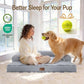 Comfort Expression Washable Orthopedic Dog Bed for Extra Large Dogs XL Grey | Waterproof Memory Foam Pet Bed 42x30 Inch with Removable Cover, Pet