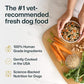 JustFoodForDogs JustFresh Wet Dog Food, Fresh Pet Meals and Toppers with No Preservatives, Resealable Package, Human Grade, Home-Cooked Chicken, 12 oz - 7 Pack